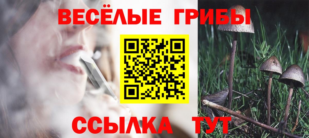Галлюциногенные грибы Psilocybe  Вход с VPN  Галлюциногенные грибы Psilocybine cubensis  Ковров 